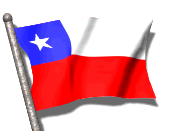 viva chile !!!!!
