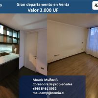 Vendo Departamento Santiago Centro